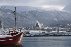 Tromsö  (184)